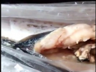 Рыбу с копошащимися внутри червями и личинками купила жительница Ставрополя на Тухачевском рынке