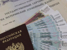 Материнский капитал на 14 млн рублей обналичили мошенники на Ставрополье