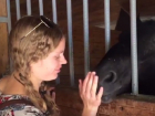 Трогательная встреча украденного коня Президента и его хозяйки попала на видео в Кисловодске