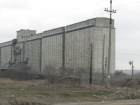 В 580 тоннах зерна на элеваторе Ставрополья обнаружили карантинный сорняк