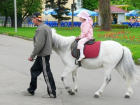 Аттракционы в городских парках проверят после инцидента со сбившей людей лошадью в Ставрополе 