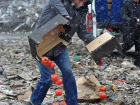 Запрещенные помидоры продавал с "Мерседеса" мужчина в Пятигорске