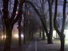 Туман, дожди и ночные заморозки пообещали на Ставрополье в последние январские дни 