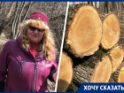 «Их используют для топки бань»: массовая вырубка деревьев в очередной раз шокировала жителей Ставрополя