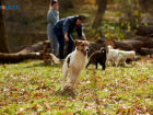 Создание двух приютов для бездомных животных анонсировали в Ставропольском крае 
