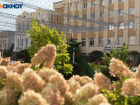 Теплая погода до +24 градусов вернется на Ставрополье в начале рабочей недели