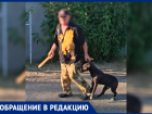 Воспитание из-под палки: в Ставрополе агрессивный бульдог держит в страхе целый район