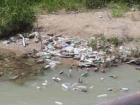 Хлам на берегу реки около фирмы по вывозу мусора заметили очевидцы в Пятигорске