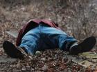 14-летнего подростка нашли без сознания в лесу под Ставрополем 