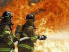 Пожарные спасли от огня семью и телят на Ставрополье