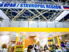 Власти Ставрополья планируют потратить почти 9 миллионов рублей на пятидневную выставку в Москве