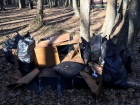 После жалоб активистов в Ставрополе убрали свалку в Члинском лесу
