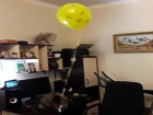 Забавный кот из Ставрополя стал героем популярного видео на You Tube