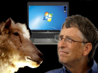 Овцеводы и козоводы создали ставропольский ответ американской Windows