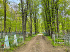Уход за кладбищами Ставрополя в 2024 году обойдется властям в 14 миллионов рублей