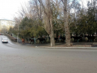Табун лошадей пробежал по улицам Кисловодска 