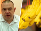 Первый в России комплекс по выращиванию бананов и авокадо появится на Ставрополье 