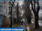 «Ветки падают на тротуар рядом со школой, а ведь там ходят дети», - жительница Ставрополя 