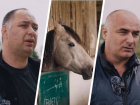 Работники скандальной конюшни на Ставрополье опровергли информацию о массовой гибели лошадей    