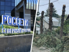 В «Россетях» объяснили вырубку тридцатилетних елей в Ставрополе безопасностью ЛЭП