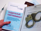 Полиция Ставрополья напомнила о судьбе продавцов и покупателей поддельных сертификатов о вакцинации 
