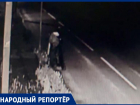 Юные вандалы-флористы устроили налет на клумбу в Ставрополе 