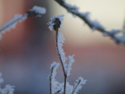 Из-за заморозков на Ставрополье объявлено штормовое предупреждение
