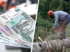 Дочка «Россетей» и стройфирма заплатят 7 миллионов за незаконную вырубку деревьев на КМВ