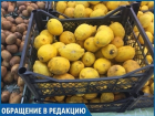 Протухшие цитрусы под маркой "свежие" продают в ставропольском гипермаркете 