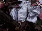 Жители Георгиевска жалуются на медикаментозную свалку в лесу возле морга