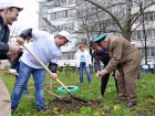 ЕвроХим высаживает зеленые насаждения в Невинномысске и на Мамаевом кургане