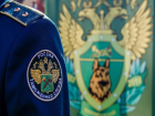 В Пятигорске бывший таможенник подозревается в «крышевании» ИП на полмиллиона рублей