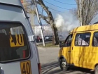 На одной из улиц Ставрополя загорелось дерево
