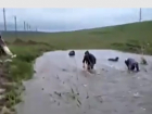 Рыбалка необычным способом из зоны затопления на Ставрополье попала на видео