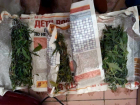 Марихуану, завернутую в газеты, обнаружили на Ставрополье