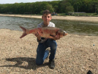 Огромную рыбину поймал школьник в Комсомольском пруду Ставрополя