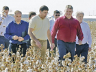 Губернатор Ставрополья вновь отбирает земли у аграриев под «хлопковый» инвестпроект за 12 миллиардов