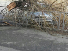 В Ставрополе ветка упала на автомобиль из-за урагана