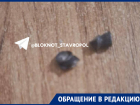 Стрелявший в людей неизвестный мужчина на юге Ставрополя ввел в ступор местных жителей 