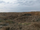 На Ставрополье 20 гектаров сельхозземель заражены фекальными бактериями и сальмонеллами