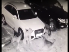 Окружившая автомобиль стая бродячих собак в Железноводске попала на видео
