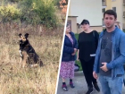 Жители Кисловодска требуют наказать убийц дворовых собак