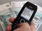«Человек добровольно дает доступ к счету»: в Ставрополе рассказали о борьбе с телефонными мошенниками