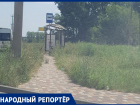 Не видно остановок из-за высокой травы в Ставрополе