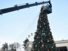 Новогодняя елка украсила Курортный бульвар в Кисловодске