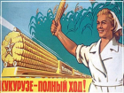 «Кукуруза — царица полей»: чем заделывают дороги на Ставрополье