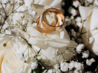 На Ставрополье в магию «красивых дат» для свадьбы верит более 400 пар