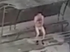 Абсолютно голый мужчина на автобусной остановке всполошил жителей Ессентуков и попал на видео