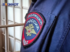 Не «стуканула»: покрывавшую террористку жительницу Ставрополья вывели на чистую воду правоохранители