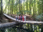 Ставропольские пруды и леса объединят в Эммануэлевскую природоохранную зону